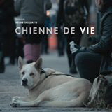 01_Chienne_de_vie