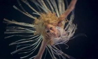 03_Sveva_en_Dalida_rayonne